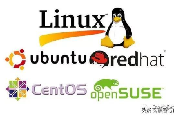 Linux总部基地究竟隐藏了哪些秘密？  第1张