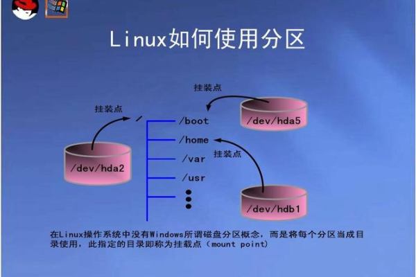 如何在安装Linux时选择正确的分区类型？