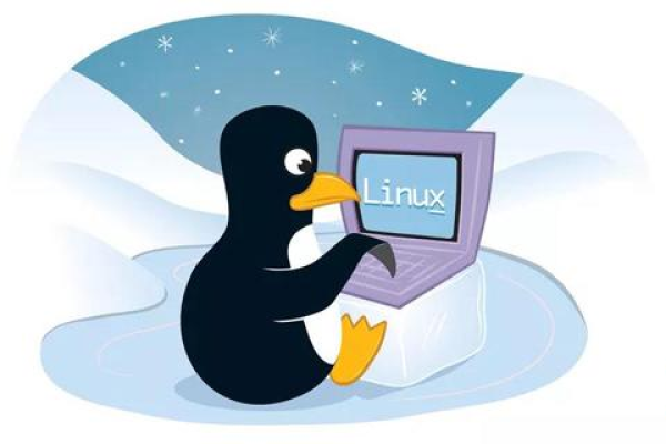 如何确定我正在使用的Linux系统是最新版本？