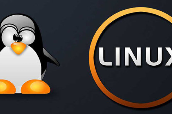 如何利用Linux免费云主机提升我的在线项目？  第1张