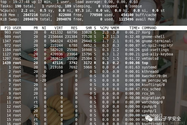 如何有效利用Linux日志服务程序进行系统监控与故障排查？