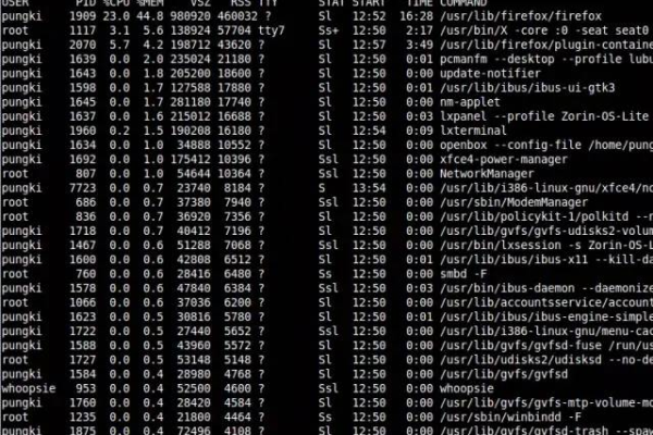 如何高效利用Linux中的ps命令来监控进程状态？  第1张
