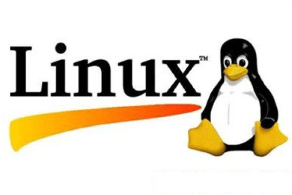 选择Linux系统，明智之举还是不智之选？  第1张