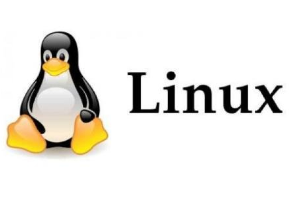 为什么 Linux 是开发者和技术爱好者的首选操作系统？