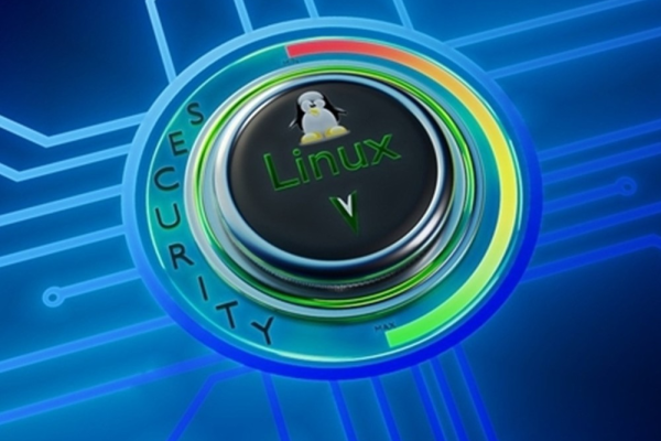 无锡国产Linux操作系统市场表现如何？  第1张