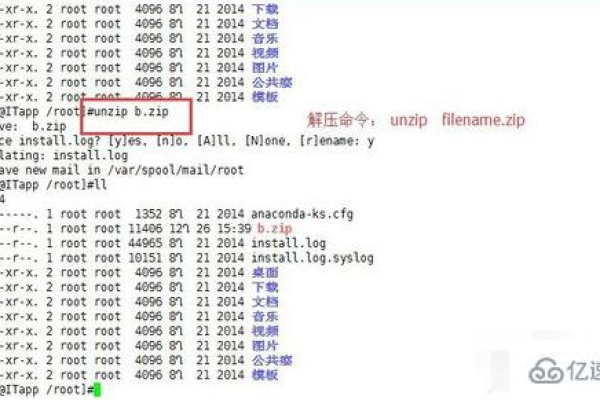 如何在Linux系统中高效解压压缩包？