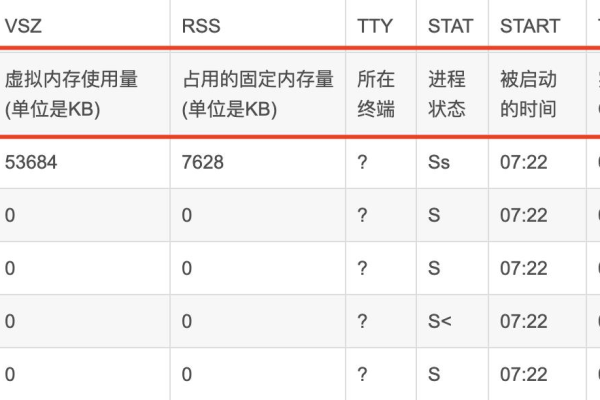 如何在Linux系统中查看网络状态？