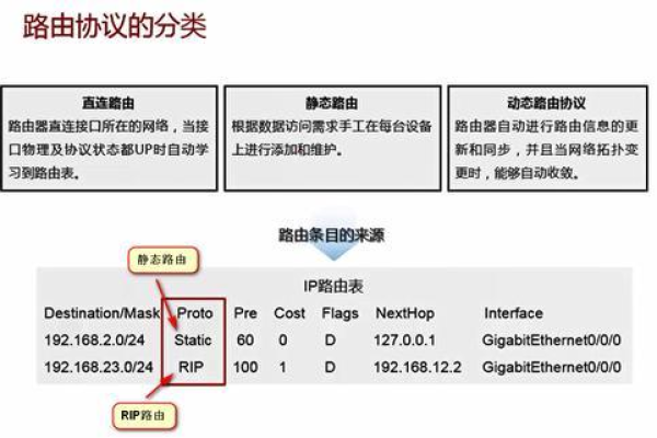 虚拟路由表在网络设计中扮演什么角色？