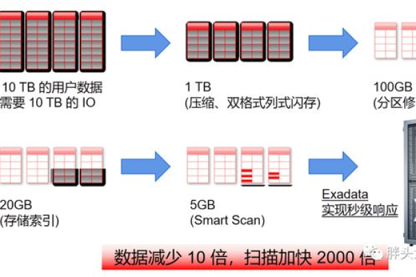 服务器的四个硬盘各自承担了哪些关键角色？