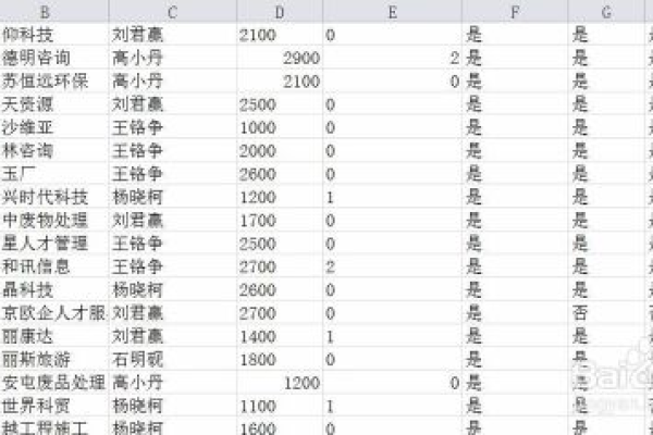 为何表格中的某一列无法正常显示？