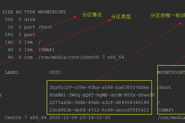 如何在Linux系统下进行分区挂载操作？