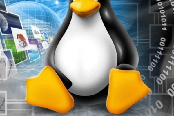 在CG行业中，为什么Linux操作系统成为首选平台？