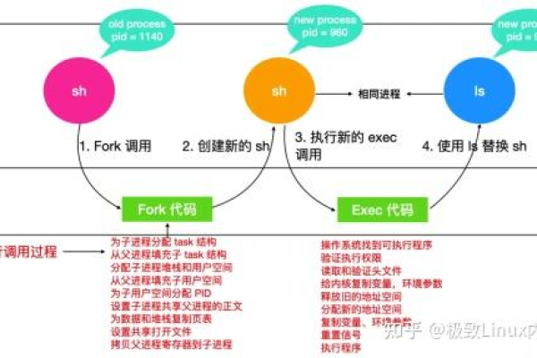 如何有效进行Linux进程学习外包以提升技能？