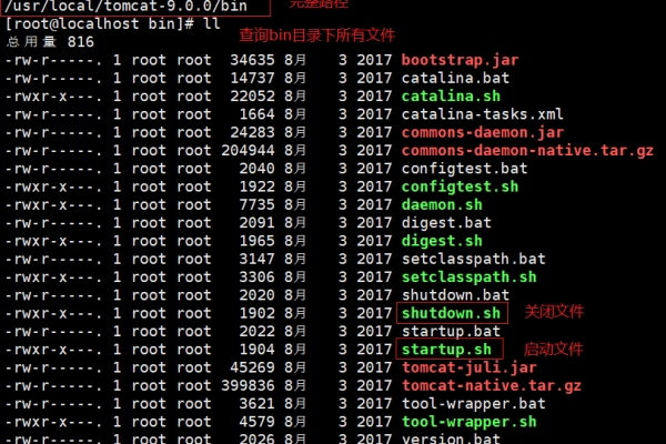 如何安全地在Linux系统上下载小说阅读软件？