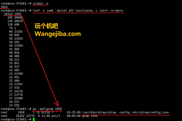 如何在Linux中查看句柄？  第1张