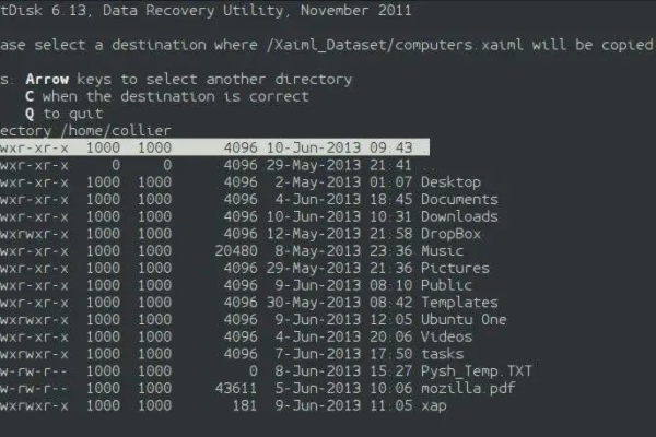 如何恢复在Linux系统中丢失的大文件？