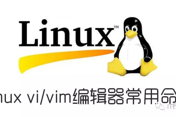 如何在Linux环境下有效使用vi编辑器？