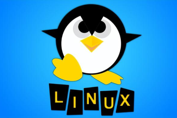 Linux 发行版之间有何不同？