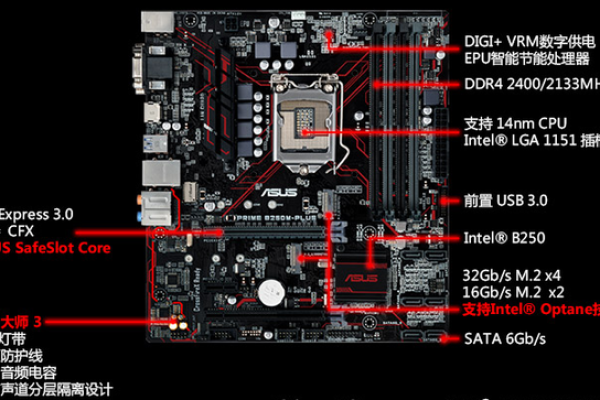 如何选择合适的服务器CPU以优化B250主板的性价比？