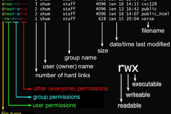 如何在Linux系统中为用户赋予权限？