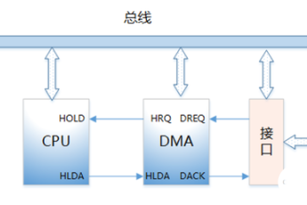 如何在Linux操作系统中实现高效的内存分配？