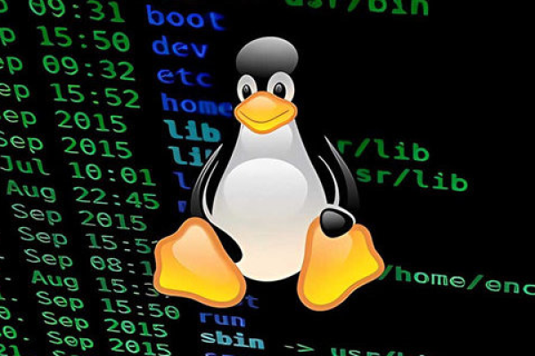 如何有效使用Linux进行文件备份服务？