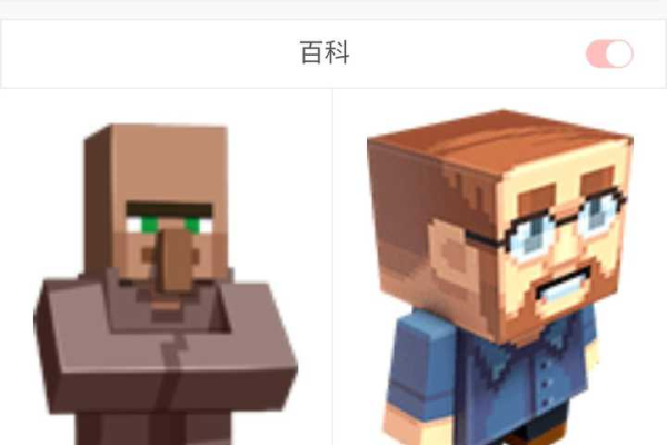 为什么需要知道国际Java版Minecraft服务器的地址？