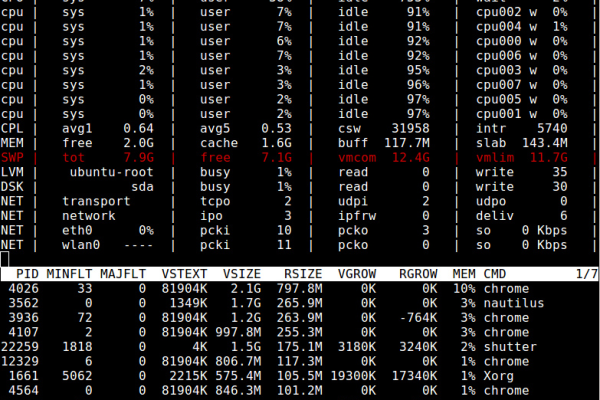 如何查询Linux系统中堆内存的使用情况？