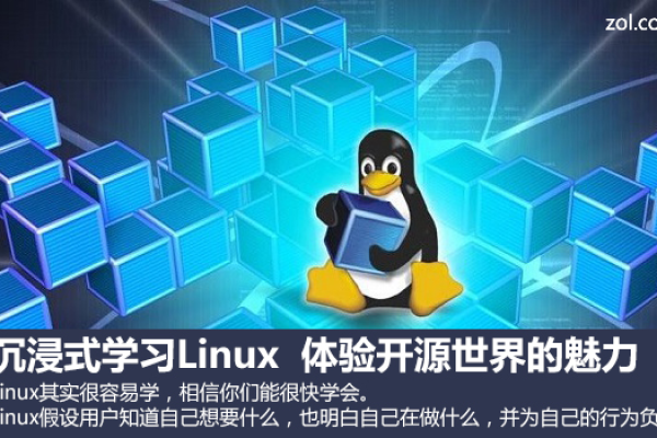 如何在Linux实训中设计一个有趣且实用的小项目？