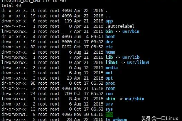 如何正确退出Linux命令行界面？