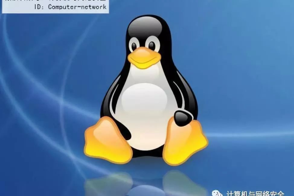 如何通过远程连接在Linux系统上访问网站？