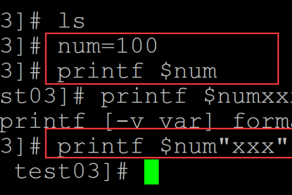 如何在Linux中打印变量的值？