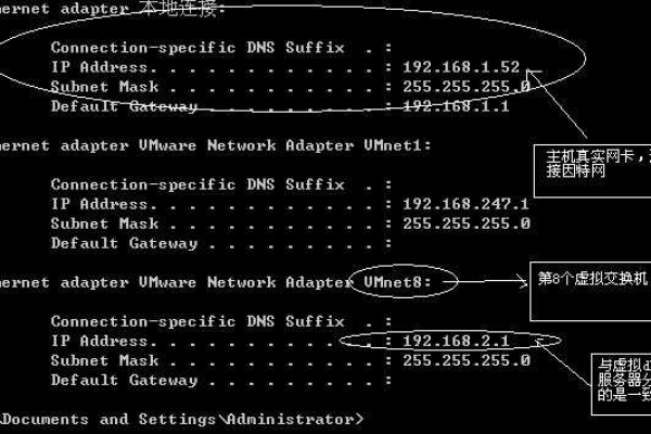 pathinfo 网络地址_网络地址类型