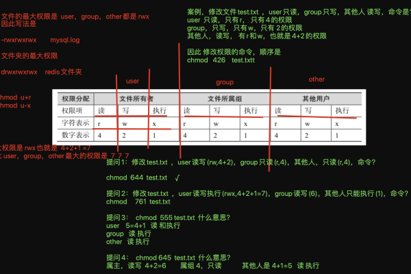 如何在Linux系统中管理目录及其权限？  第1张