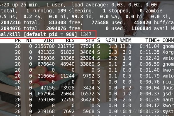 远程管理Linux系统时，哪一款工具性能最优？  第1张