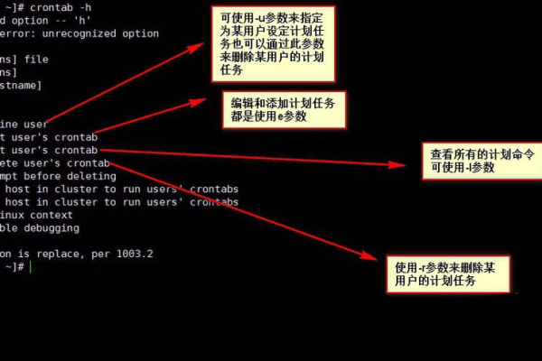 如何设置Linux系统中的定时任务以满足特定需求？