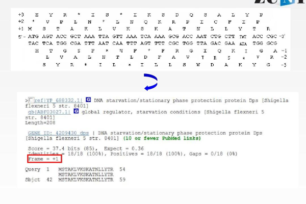 perl提取数据库中蛋白序列_数据库水印提取