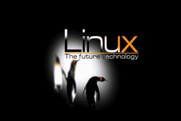 Linux视频教程21集中有哪些高级技巧和命令？  第1张