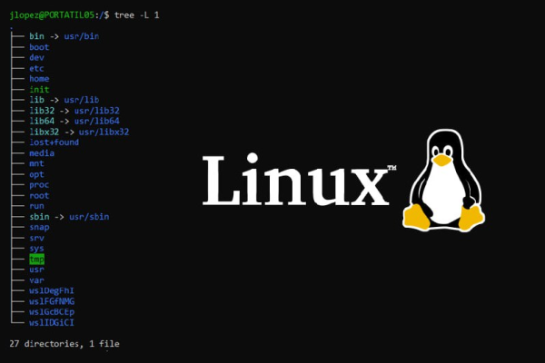 如何开始自学Linux，入门指南与资源推荐？