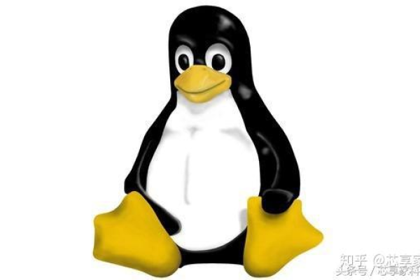 不同版本的Linux系统各自有哪些独特用途和优势？  第1张