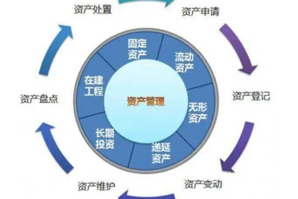 如何高效地构建和管理学校的数字资产？