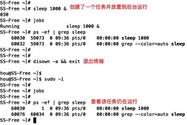 如何高效学习Linux技术作为新手？