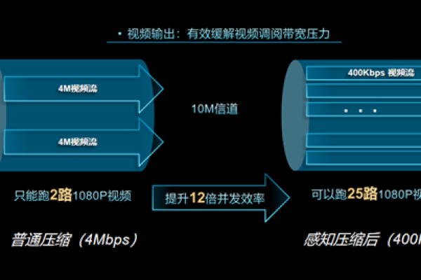 如何优化虚拟主机的存储容量以提升性能和降低成本？