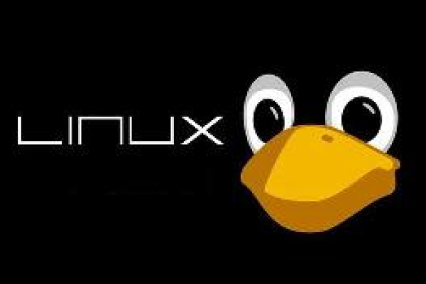 如何安全地更新Linux软件包以避免系统不稳定？  第1张