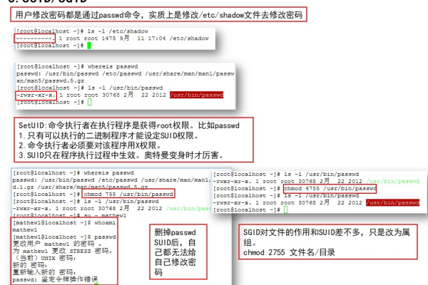 如何在Linux中管理串口权限？