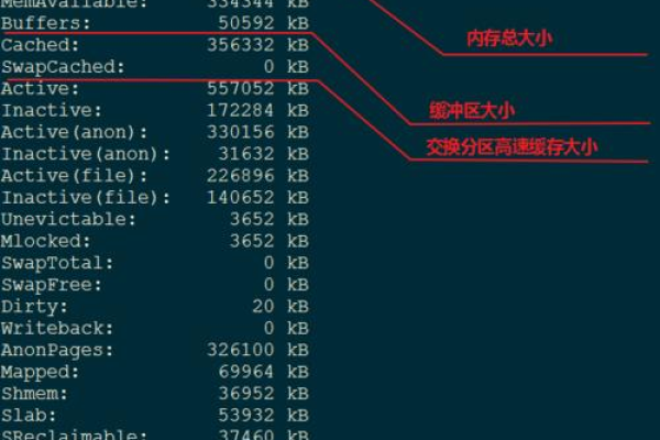 如何有效利用Linux命令来查看系统信息？