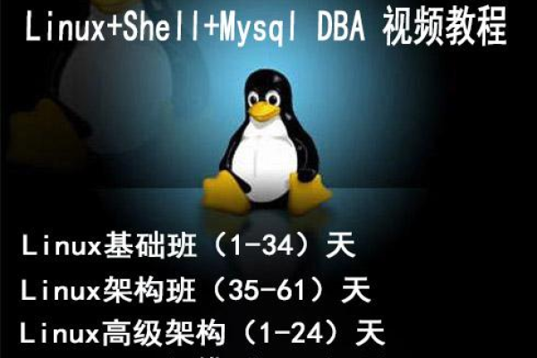 凌阳Linux教学视频如何帮助初学者掌握操作系统基础？