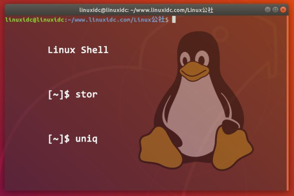 如何在Linux中使用逗号进行文本分割？  第1张