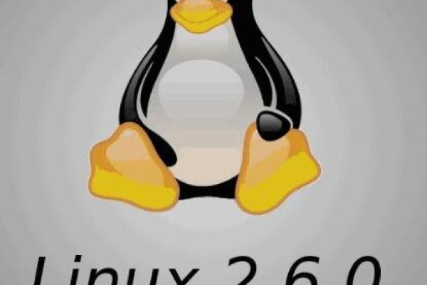 如何正确设置Linux系统以支持32位应用程序？  第1张