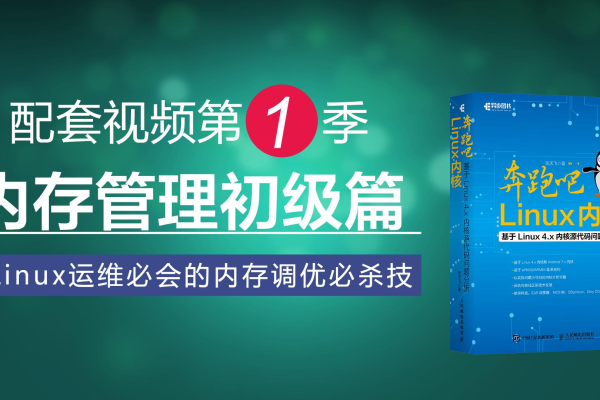 如何精通Linux运维之道，进阶篇技巧与策略？